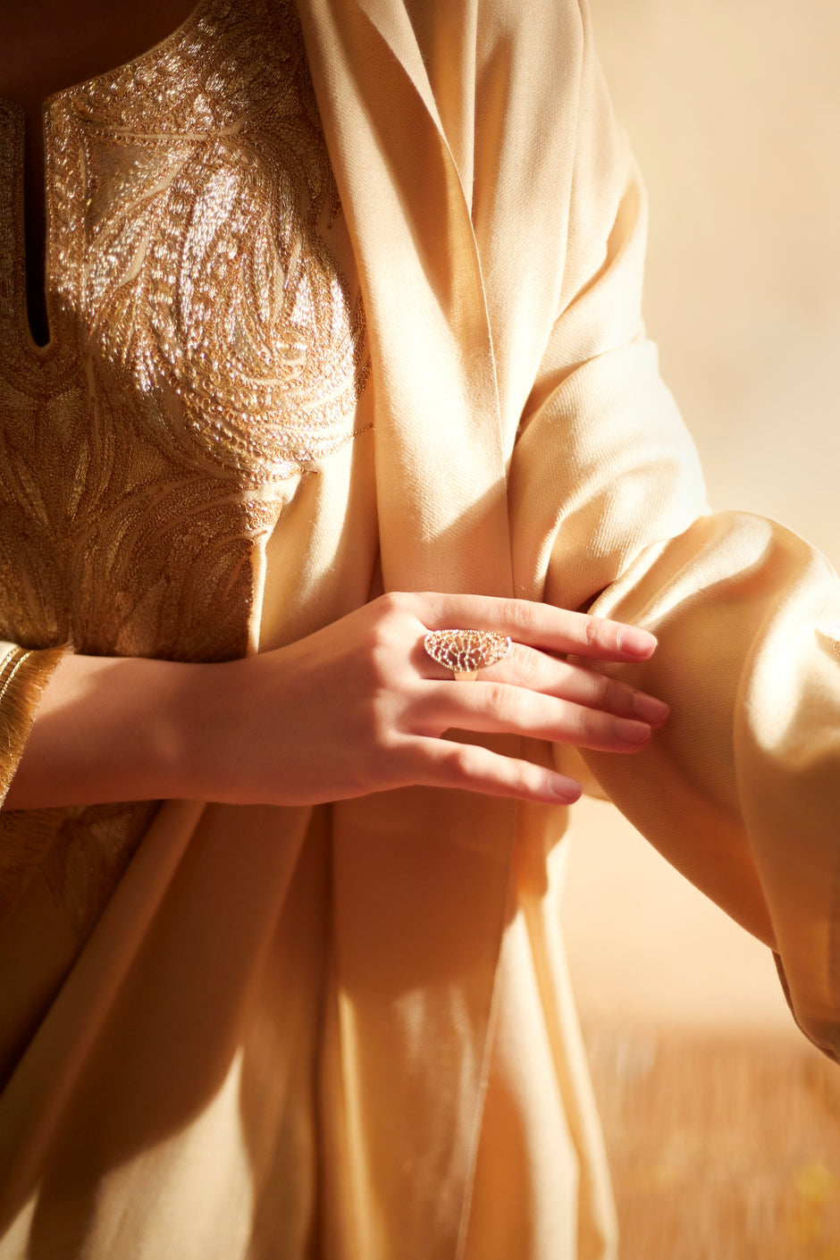Laila Roohi Faisal Designs